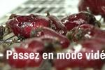 LNM vous présente son teaser vidéo, à découvrir de toute urgence!