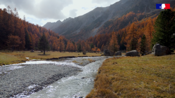 Préservation des forêts et biodiversité 